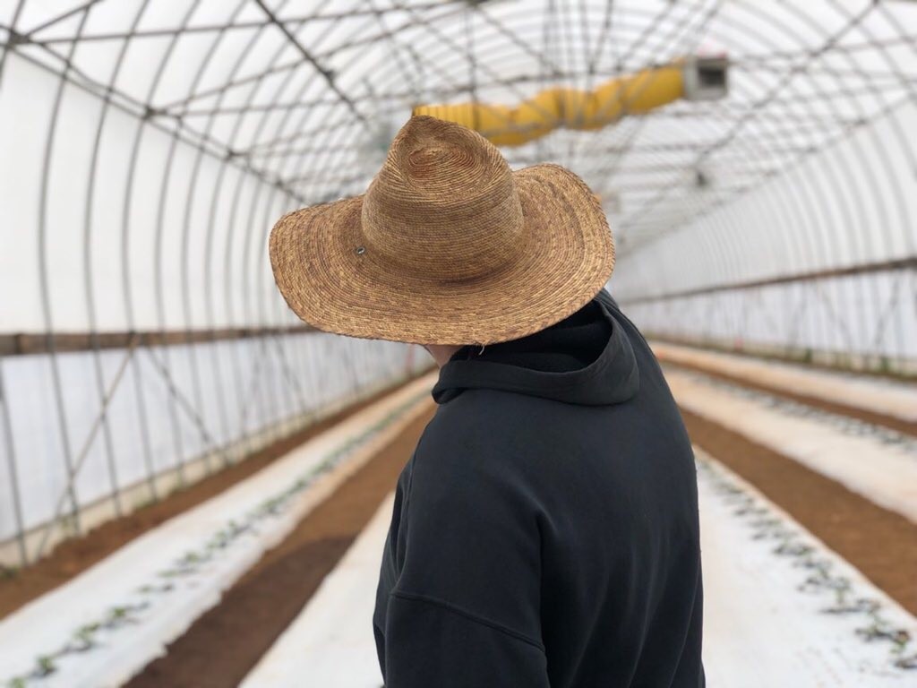 the farmer | Image Sarah West